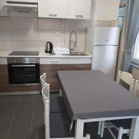 Ernesta セルツェ